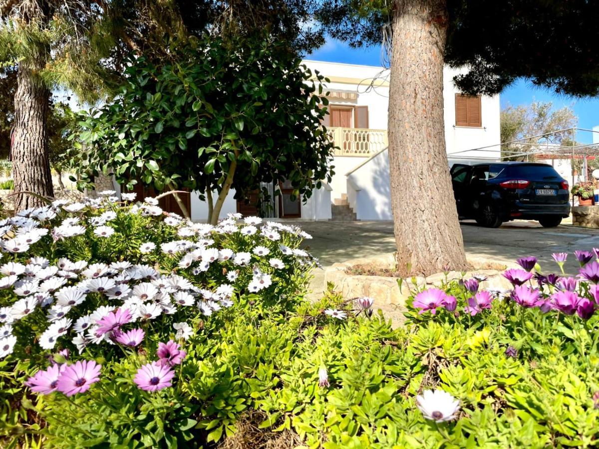 Le Macchie - Vacanza Nel Verde Torre Vado Dış mekan fotoğraf